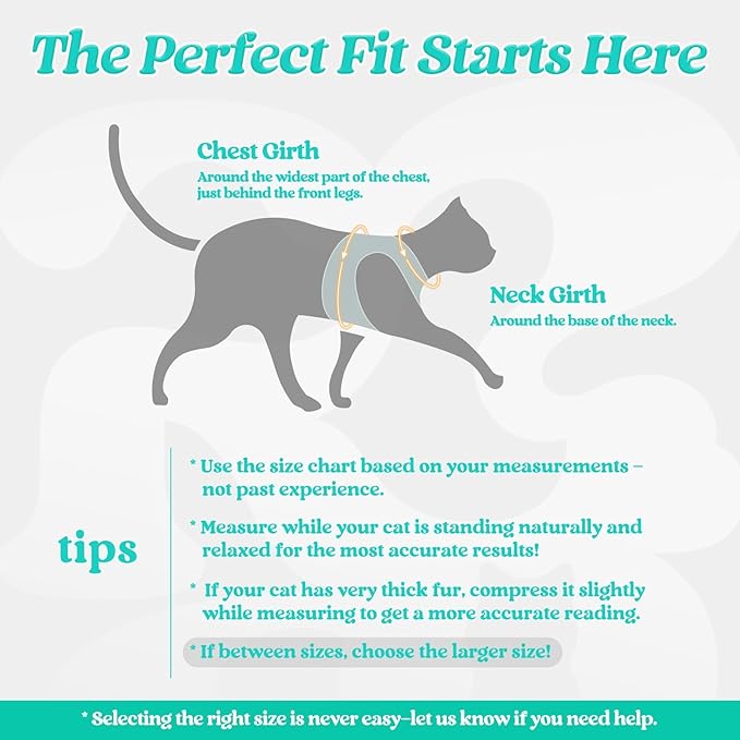 rabbitgoo Cat Harness and Leash, Step-in Escape Proof Kitten Harness Set - Image 2