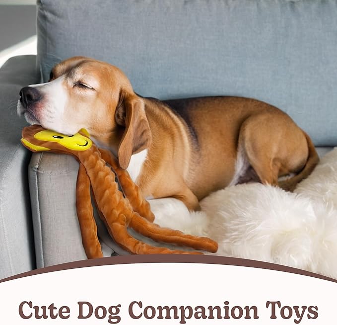 SHARLOVY No Stuffing Dog Toys 5 Pack, Crinkle Interactive Dogs Toy - Image 6