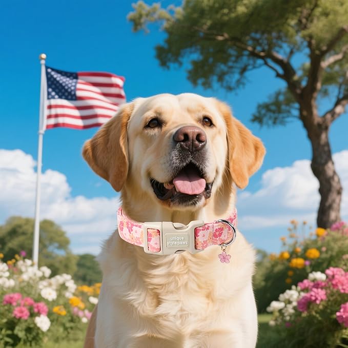 Unique style paws Dog Collar Plastic Buckle - Image 5