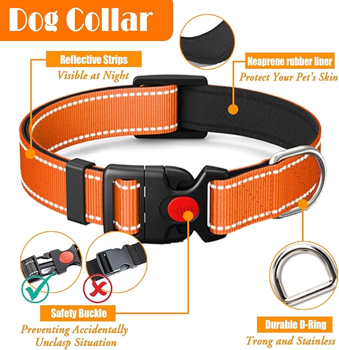 LOBEVE No Pull Dog Harness, Collar & Leash Set | Includes Dog Seat Belt - Image 6