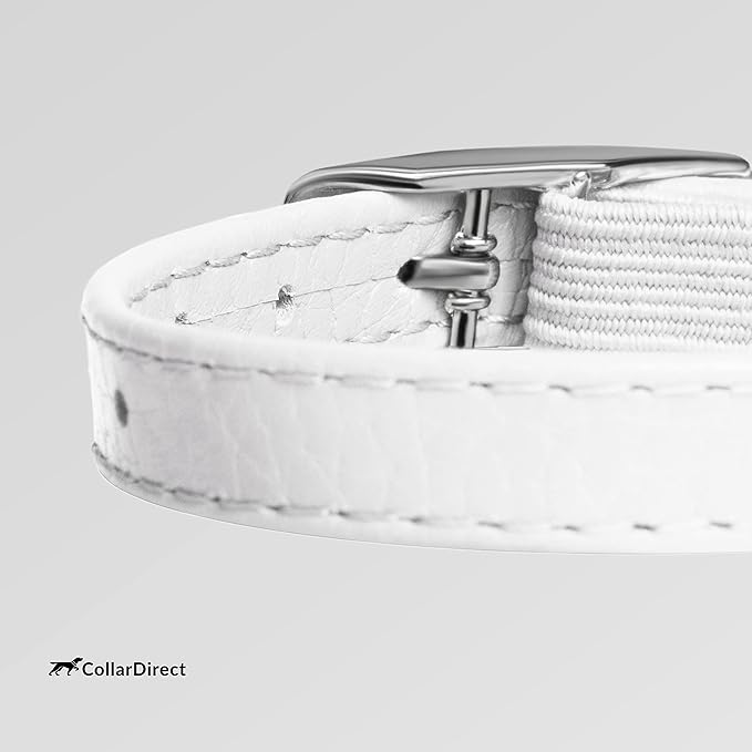 CollarDirect Leather Cat Collar - Image 4