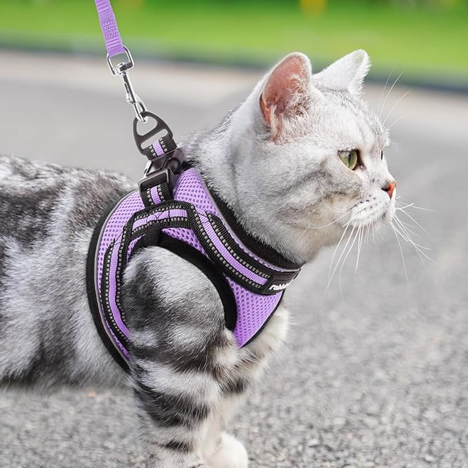 rabbitgoo Cat Harness and Leash, Step-in Escape Proof Kitten Harness Set - Image 9