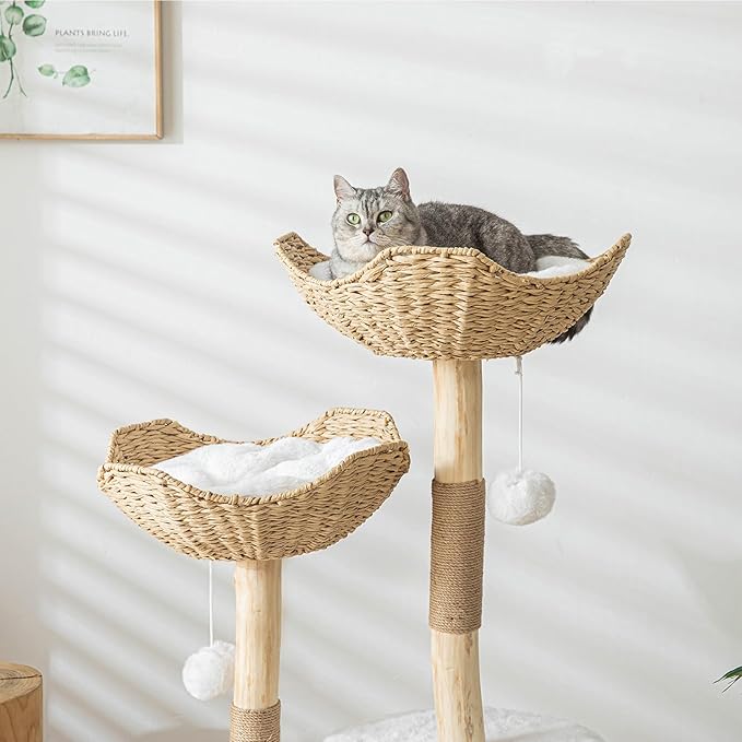 Modern Cat Tree for Indoor Cats Large Adult, 46.5" Tall Wooden Cat Tower for - Image 3