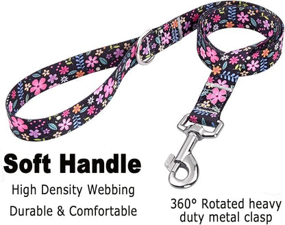 Mihqy Dog Collar and Leash Set - Image 4