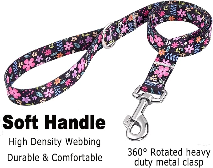 Mihqy Dog Collar and Leash Set - Image 4