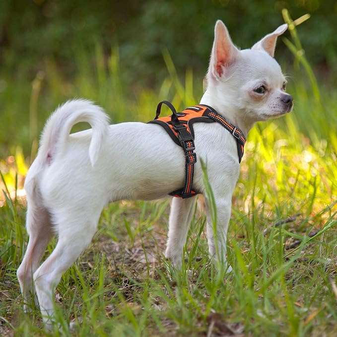rabbitgoo Dog Harness No Pull - Image 8