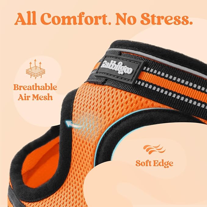 rabbitgoo Cat Harness and Leash, Step-in Escape Proof Kitten Harness Set - Image 7