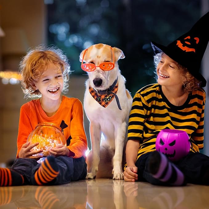 Dog Bandana Plaid, Boo & Witch Cat Embroidery Patches - Image 3