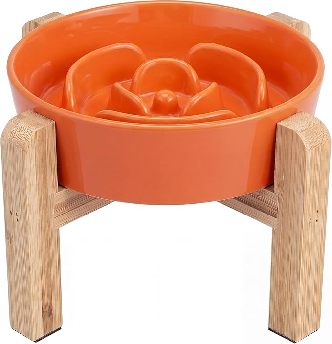 Elevated Slow Feeder Dog Bowl by PTOBER
