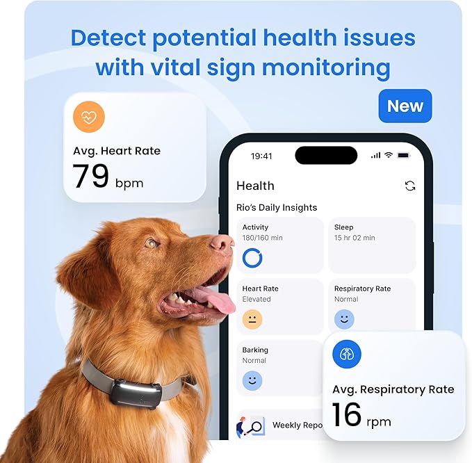 Tractive Smart Dog GPS Collar | Live Pet Tracker - Image 4