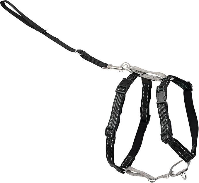 PetSafe 3 in 1 Dog Harness by PetSafe