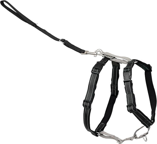 PetSafe 3 in 1 Dog Harness by PetSafe