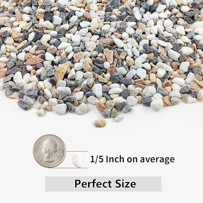 YISZM 10LB Succulent and Cactus Gravel Pebbles, 1/5 Inch Natural Decorative - Image 2