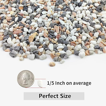 YISZM 10LB Succulent and Cactus Gravel Pebbles, 1/5 Inch Natural Decorative - Image 2