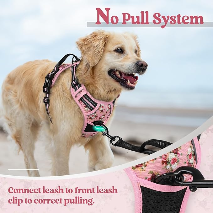 rabbitgoo Dog Harness No Pull - Image 5