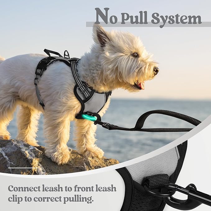 rabbitgoo Dog Harness No Pull - Image 5
