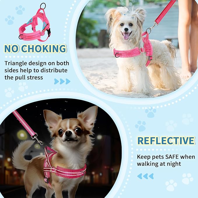 Lukovee No Pull Dog Harness and Leash Set, Soft Padded Small Dog Harness - Image 6
