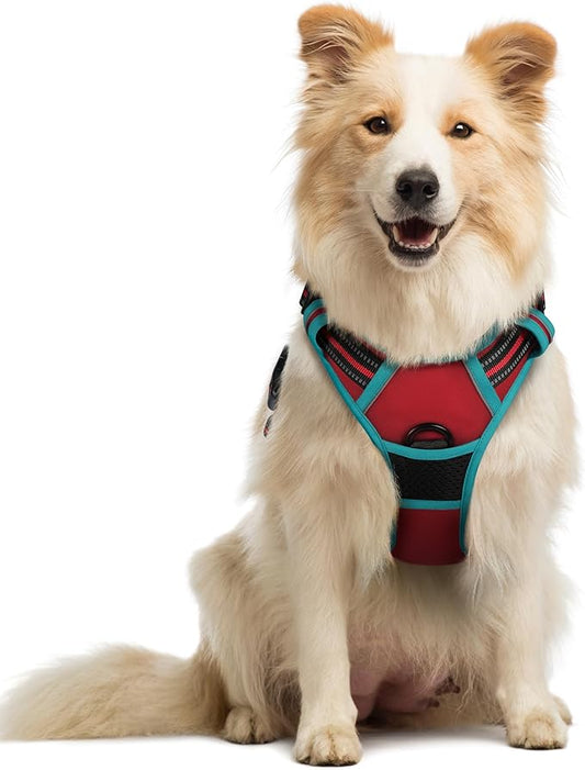 rabbitgoo Dog Harness No Pull by rabbitgoo