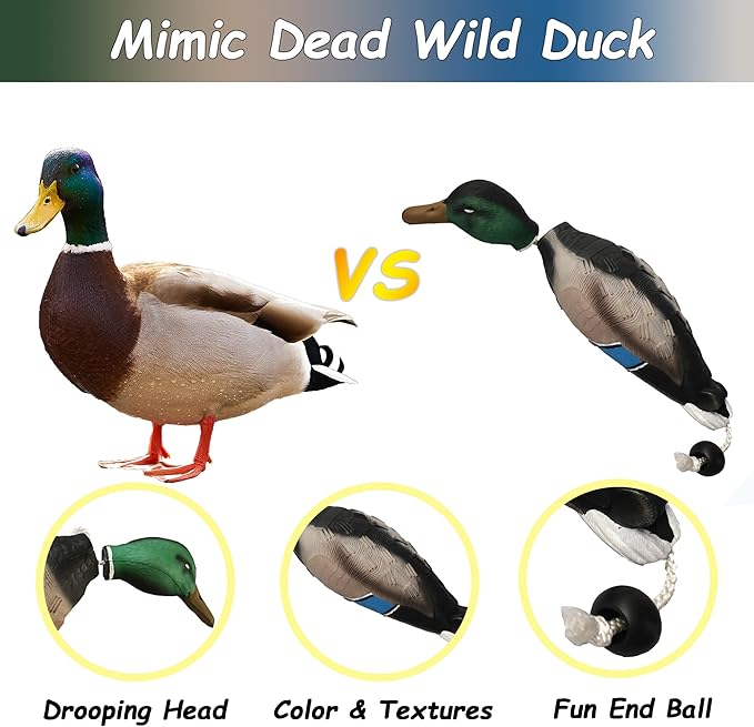 fingig 2 Pcs Duck Dummy Bumper Toys - Image 6