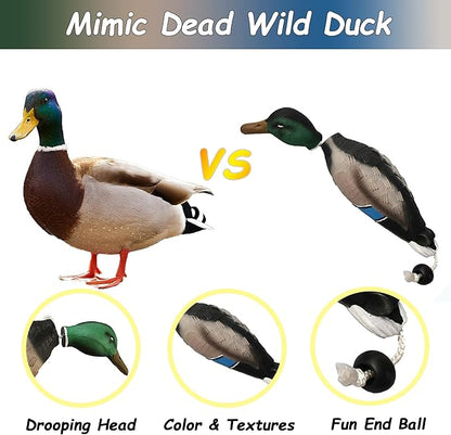fingig 2 Pcs Duck Dummy Bumper Toys - Image 6