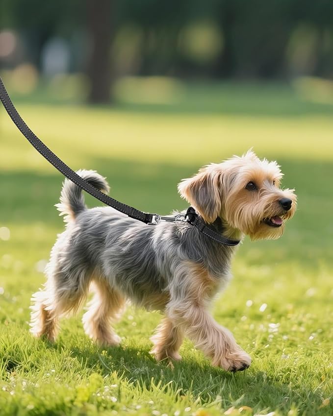 Joytale Small Dog Collar, Durable Double-Sided Reflective Nylon Collar - Image 6