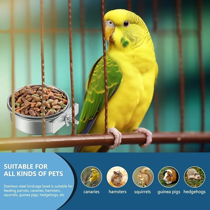 Stainless Steel Bird Feeding Bowls, Parrot Food Bowl Cage Water Feeder - Image 6