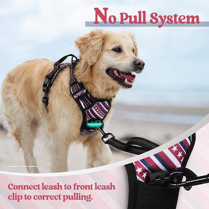 rabbitgoo Dog Harness No Pull - Image 5