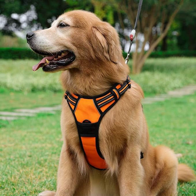 rabbitgoo Dog Harness No Pull - Image 8