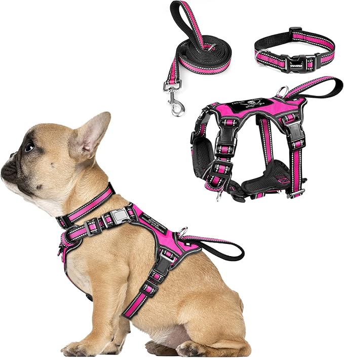 WINSEE Pet Harness Collar and Leash Set, All-in-one Reflective Dog Harness No by WINSEE