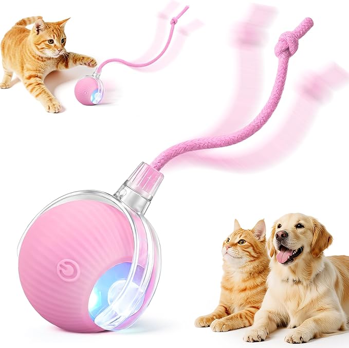 Smart Interactive Automatic Electric Rolling Moving Rechargeable Motion by Unknown