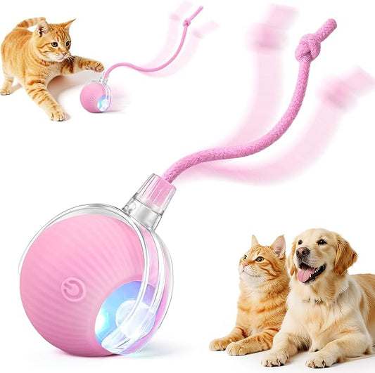 Smart Interactive Automatic Electric Rolling Moving Rechargeable Motion by Unknown