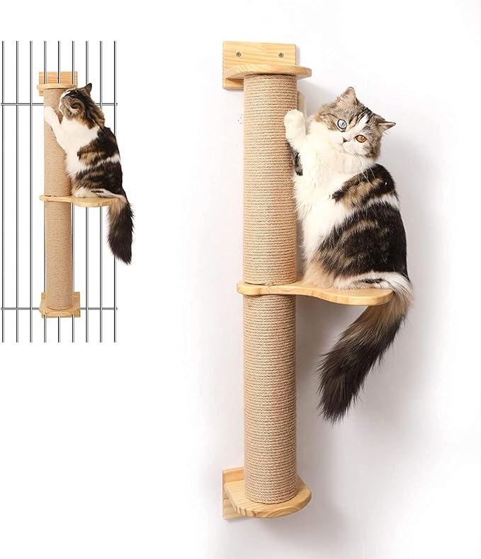 FUKUMARU Cat Activity Tree by FUKUMARU