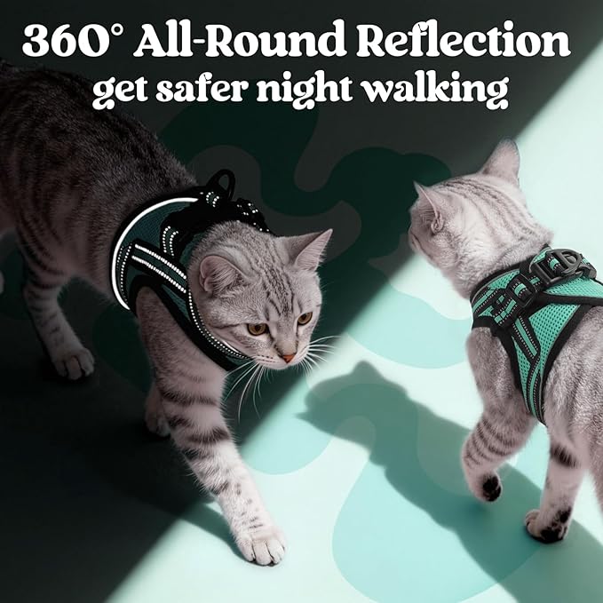rabbitgoo Cat Harness and Leash, Step-in Escape Proof Kitten Harness Set - Image 5