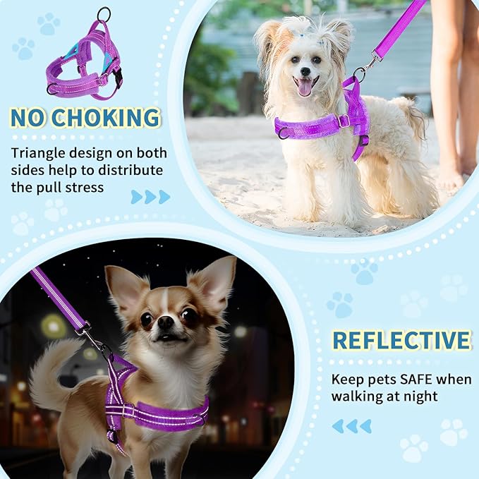 Lukovee No Pull Dog Harness and Leash Set, Soft Padded Small Dog Harness - Image 6
