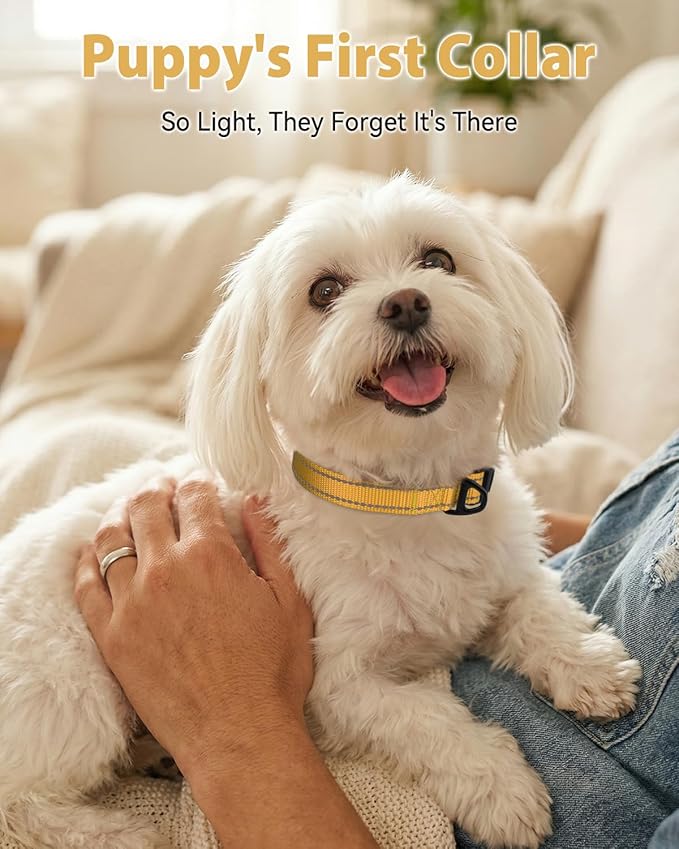 Joytale Small Dog Collar, Durable Double-Sided Reflective Nylon Collar - Image 2
