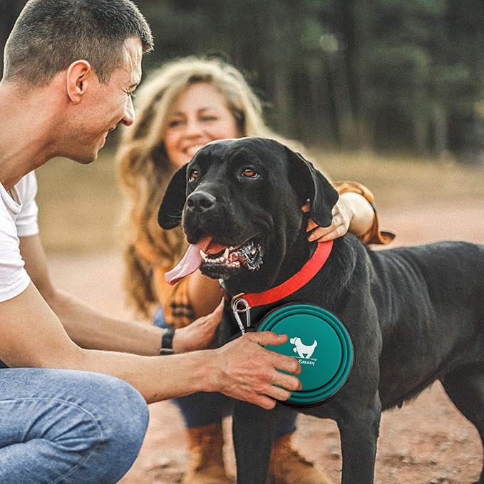 Collapsible Dog Bowls for Travel, BPA Free - Image 6