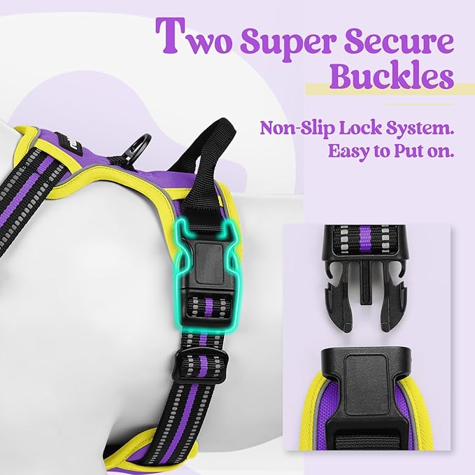 rabbitgoo Dog Harness No Pull - Image 3