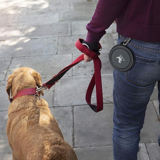 Collapsible Dog Bowls for Travel, BPA Free) - Image 7