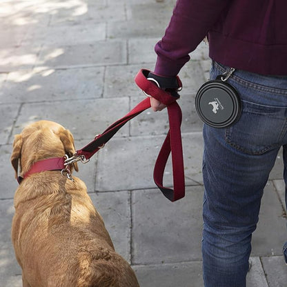 Collapsible Dog Bowls for Travel, BPA Free) - Image 7