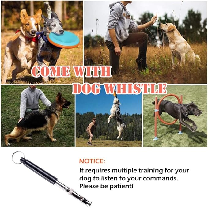 Dog Agility Training Equipment Set, Puppy Jump Training Obstacle Course Starter - Image 6