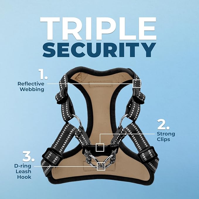 Best Pet Supplies Voyager Adjustable Step-in Flex Breathable Mesh Dog Harness - Image 2