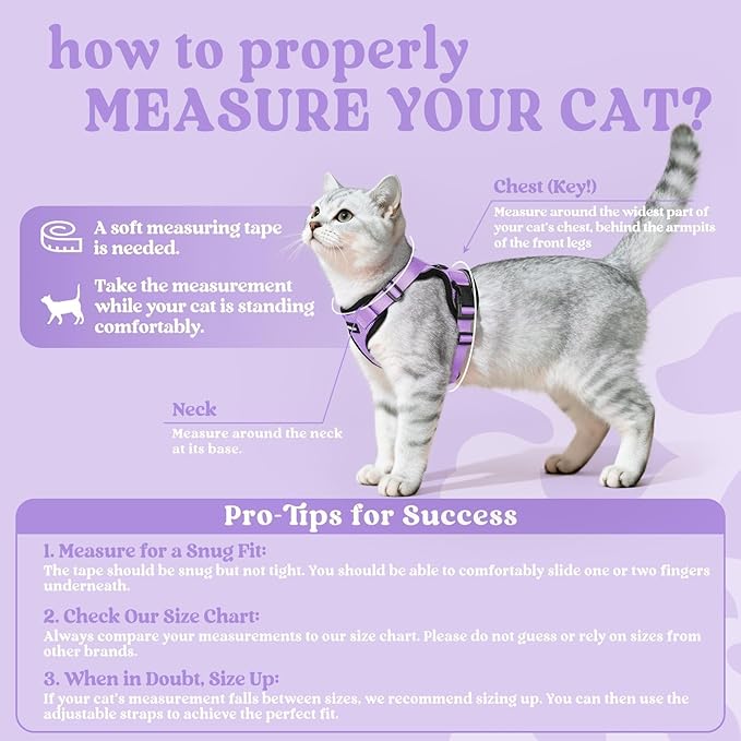 rabbitgoo Cat Harness and Leash Set, Escape Proof Vest Harness - Image 2