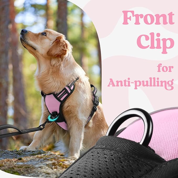 rabbitgoo Dog Harness Medium Sized, No Pull Easy On & Off - Image 7