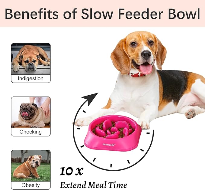 MateeyLife Slow Feeder Dog Bowls 2PCS, Anti-Choking Puzzle Dog Food Bowls - Image 2