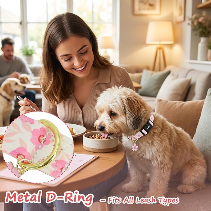 Dog Collar with Pink Cherry Blossom Patterns, Spring Summer Collection Dog - Image 5