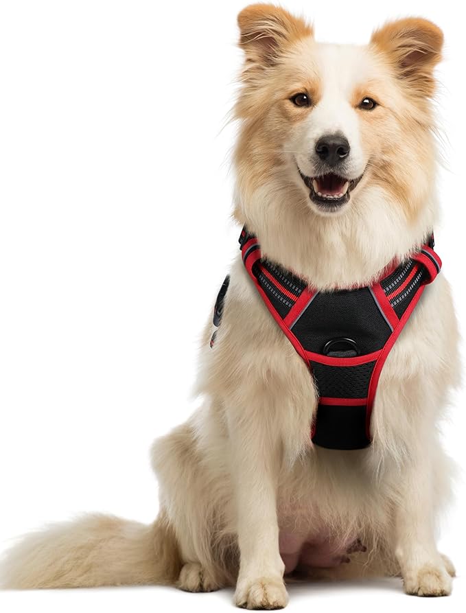 rabbitgoo Dog Harness No Pull by rabbitgoo
