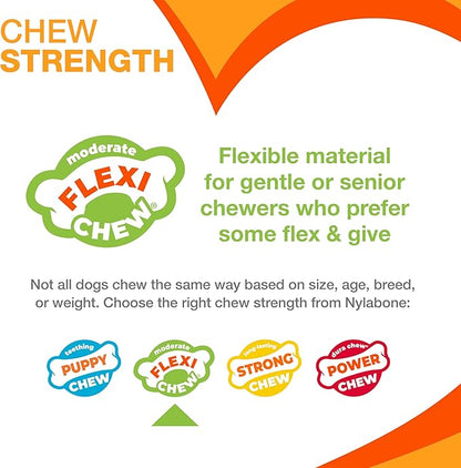 Nylabone Textured Dental Bone Flexi Chew Toy - Image 4