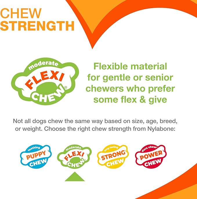 Nylabone Textured Dental Bone Flexi Chew Toy - Image 3