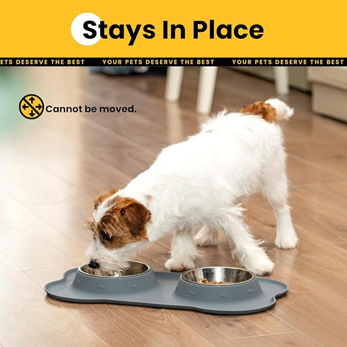 Conlun Stainless Steel Dog Bowls - Image 4