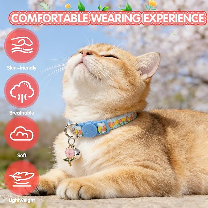 EXPAWLORER Flower Cat Collar Breakaway - Image 4